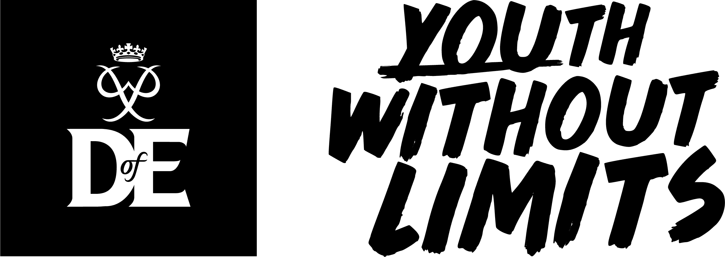 The words DofE and without limits in bold black type